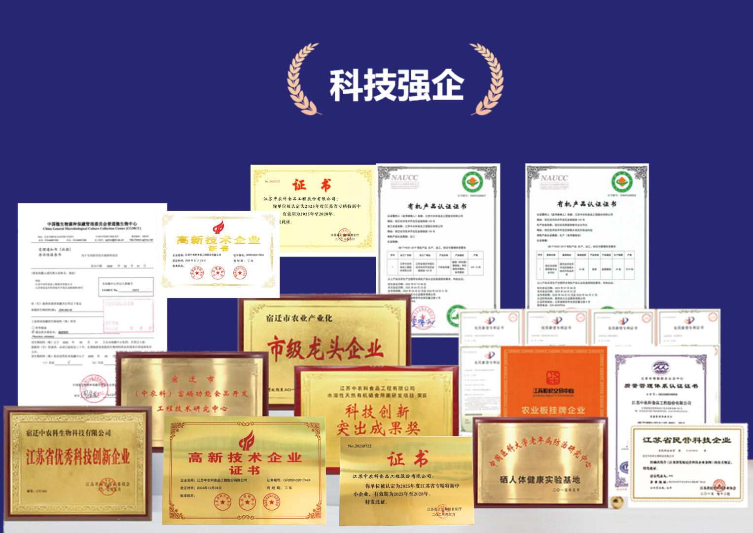 未命名的设计.png