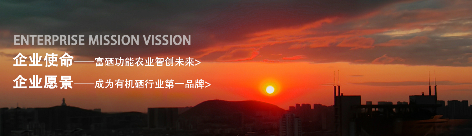 使命愿景.jpg